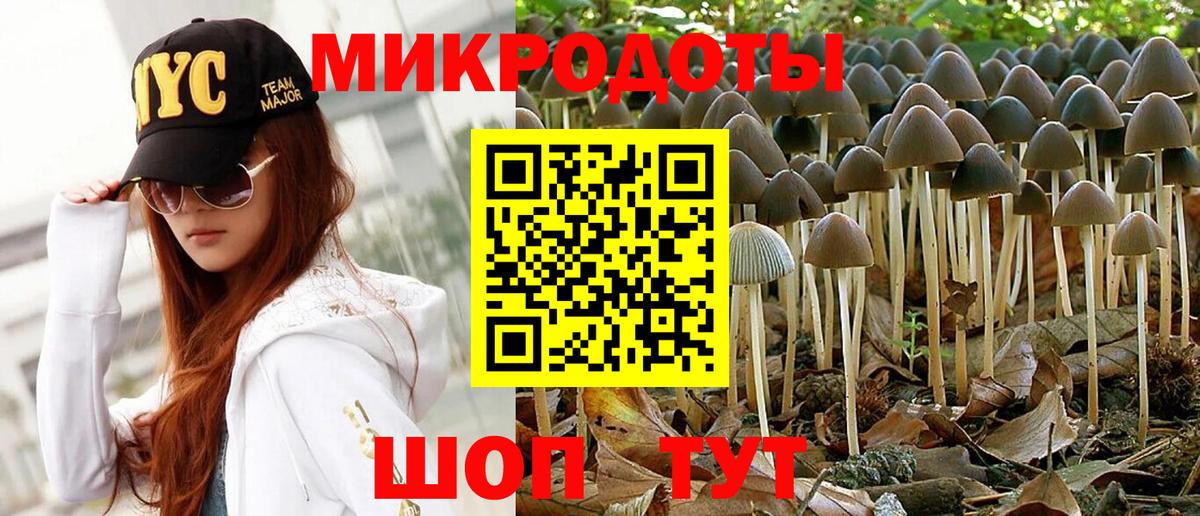 Галлюциногенные грибы прущие грибы  Вход с VPN  Галлюциногенные грибы мицелий  Всеволожск 